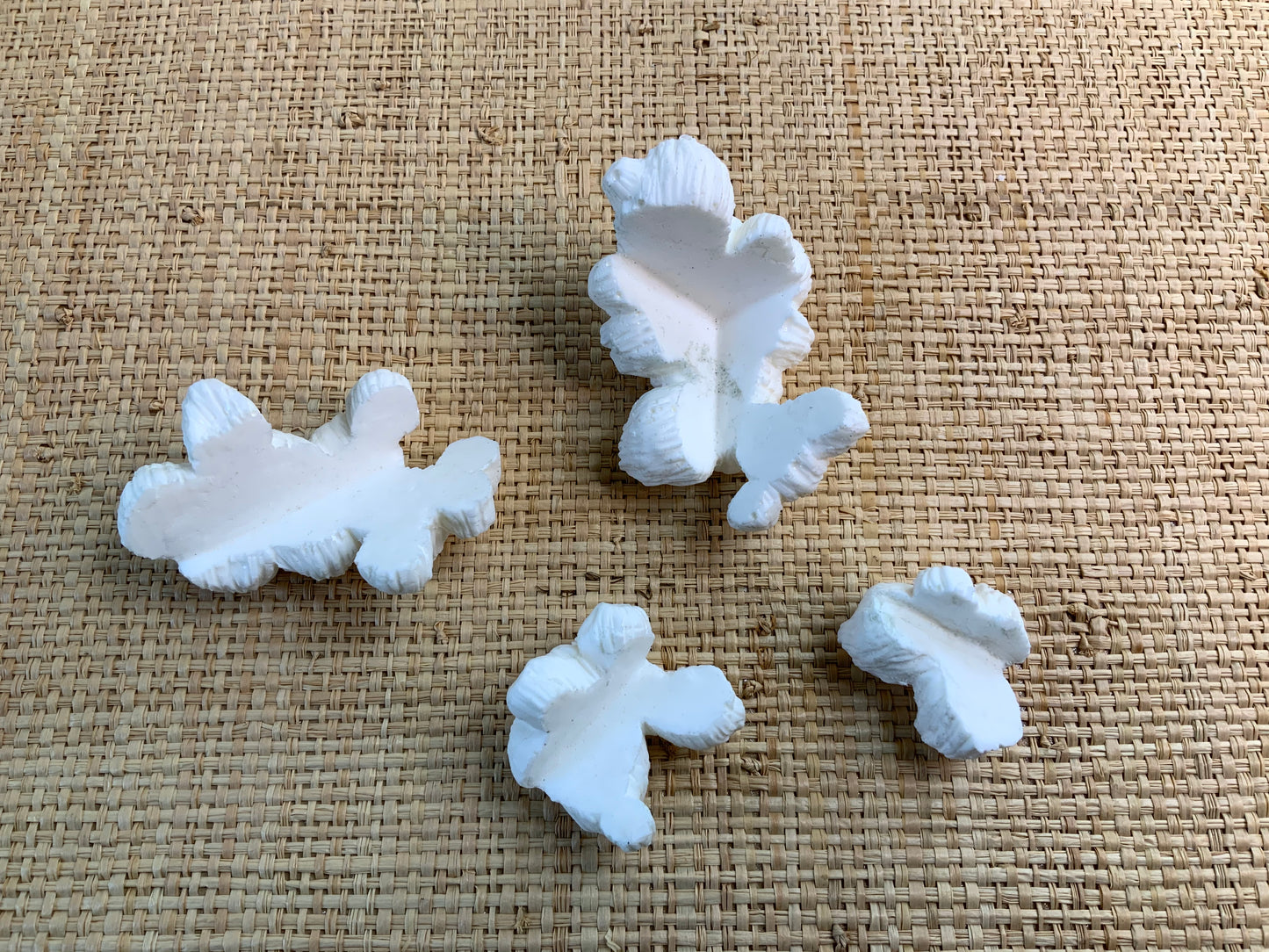 Bag-O-Barnacles
