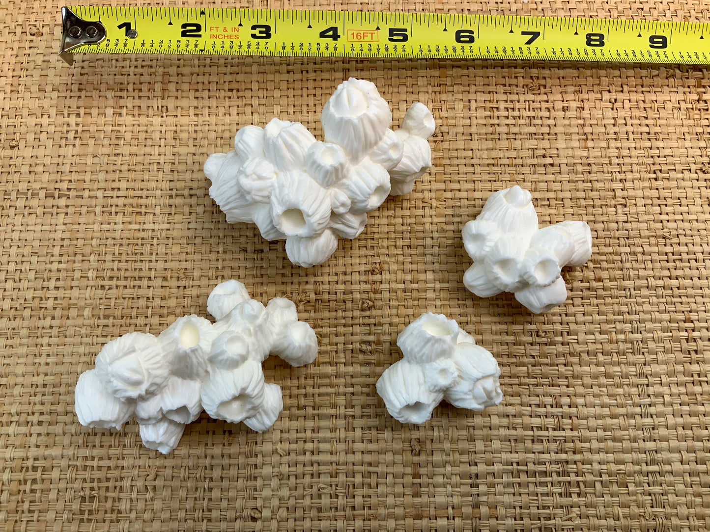 Bag-O-Barnacles