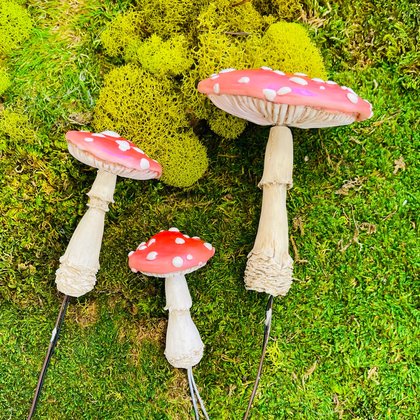 Set of 3 LED Mushrooms