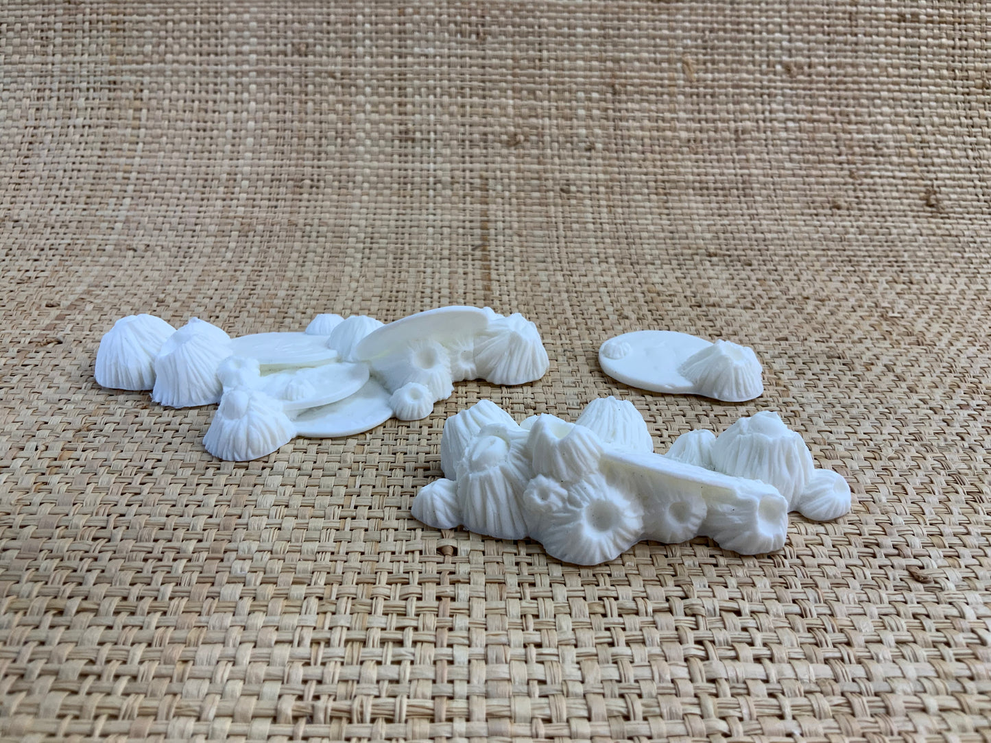 Bag-O-Barnacles